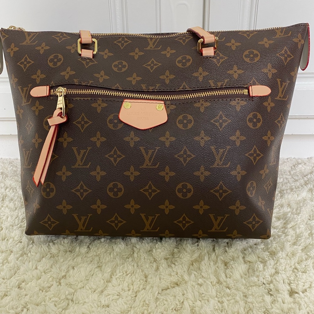 Louis Vuitton Iena Monogram Bag